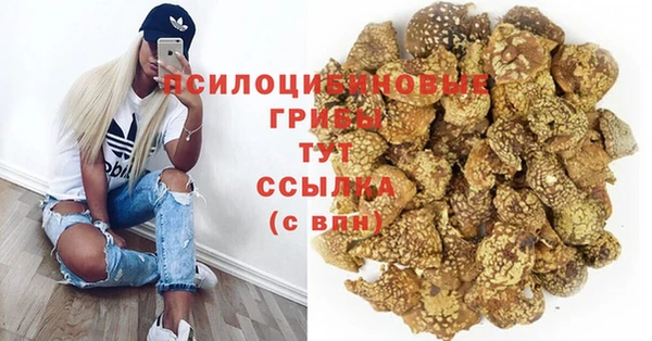 таблы Богородицк