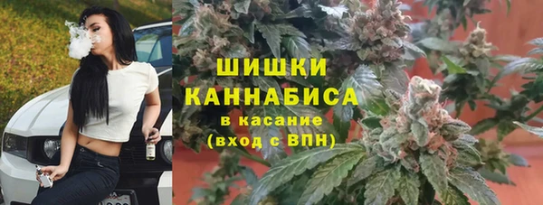 первитин Богородск