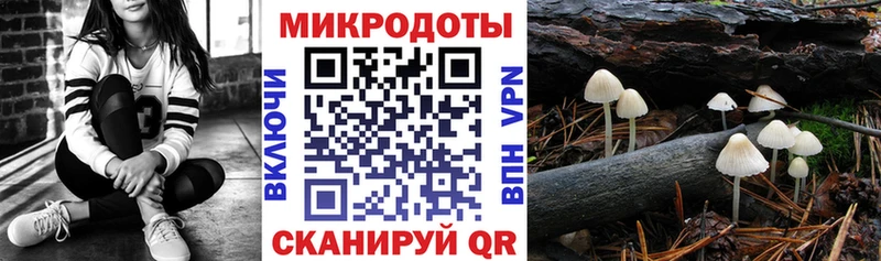 Псилоцибиновые грибы Psilocybe  купить наркотики цена  omg   Мезень 